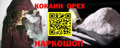 стаф Шелехов