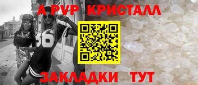 стаф Шелехов