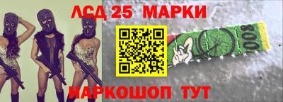 стаф Шелехов