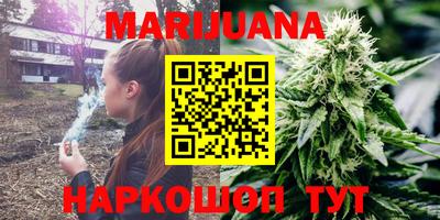 стаф Шелехов
