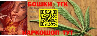 стаф Шелехов