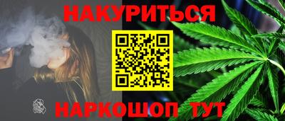 стаф Шелехов