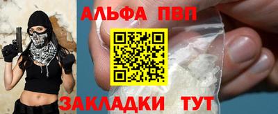 стаф Шелехов