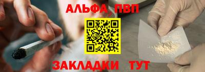 стаф Шелехов