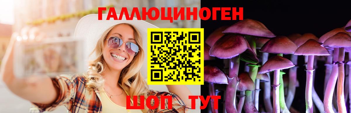 Псилоцибиновые грибы Psilocybe  где купить наркоту  Вход с VPN  Аргун  Псилоцибиновые грибы Psilocybe 